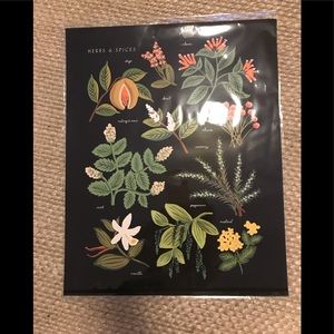 16 x 20 pottery barn herbs print